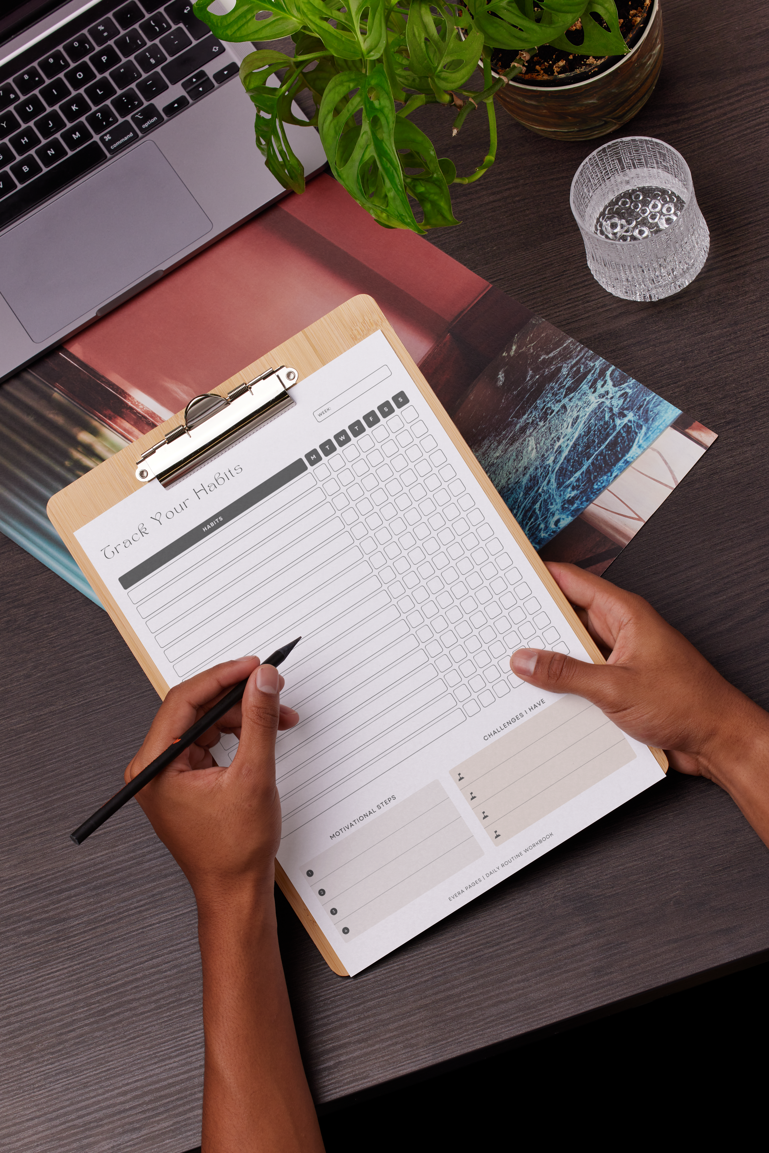 daily habit tracker